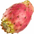 Prickly pear